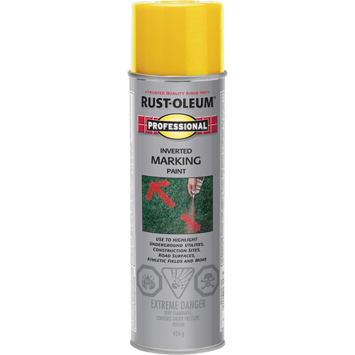 Peinture de marquage renvers&eacute; en a&eacute;rosol, 426 g, Canette a&eacute;rosol Equipex