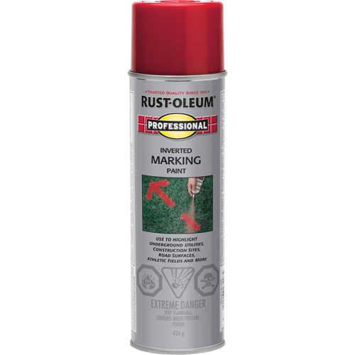 Inverted Marking Paint Spray, Aerosol Can Equipex