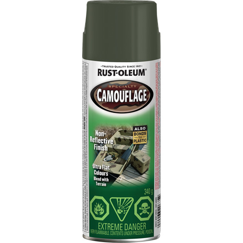 Specialty Camouflage Paint, Aerosol Can, Army Green Equipex