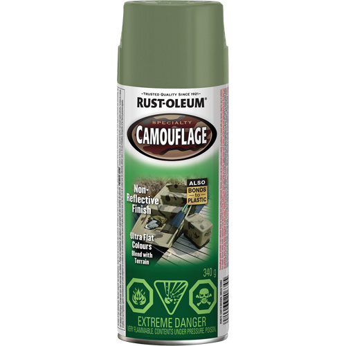 Specialty Camouflage Paint, Aerosol Can, Earth Brown Equipex