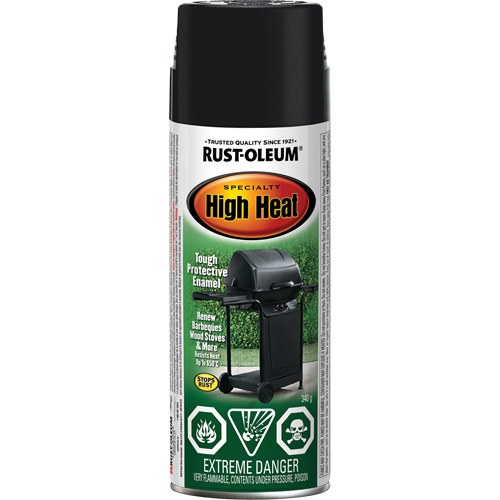 Specialty High Heat Enamel Spray Paint, Aerosol Can, Black Equipex