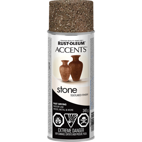 Accents&reg; Stone Creations Spray Paint, Aerosol Can, Sienna Stone Equipex