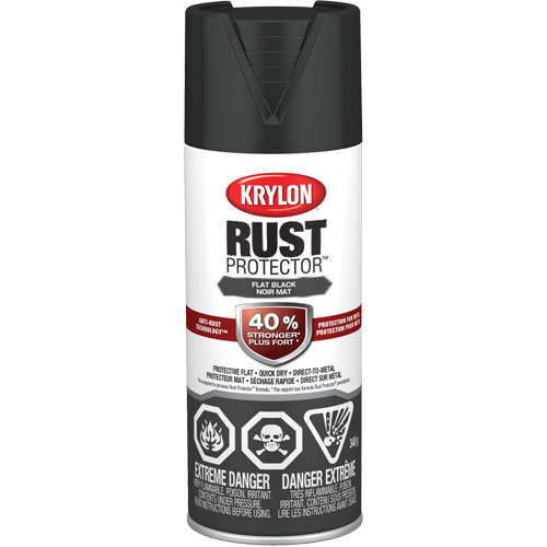 Peinture &agrave; &eacute;mail Rust Protector, Noir, Tr&egrave;s mat, 12 oz, Canette a&eacute;rosol Equipex