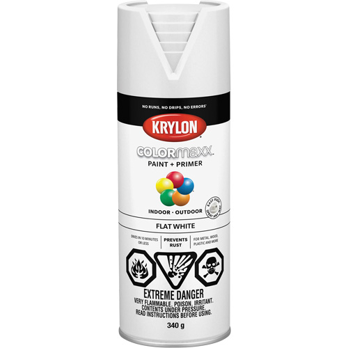 Appr&ecirc;t + peinture COLORmaxx, Blanc, Tr&egrave;s mat, 12 oz, Canette a&eacute;rosol Equipex