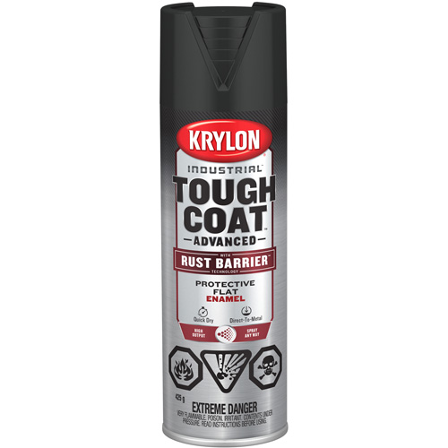 Tough Coat&reg; Advanced Paint with Rust Barrier Technology, Black, Flat, 425 g, Aerosol Can Equipex
