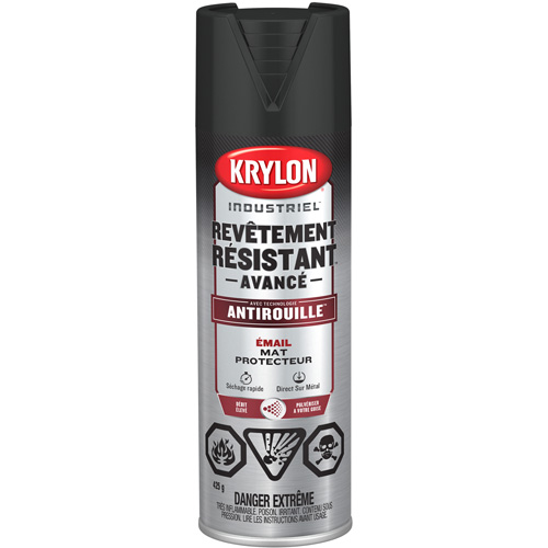 Tough Coat&reg; Advanced Paint with Rust Barrier Technology, Black, Flat, 425 g, Aerosol Can Equipex