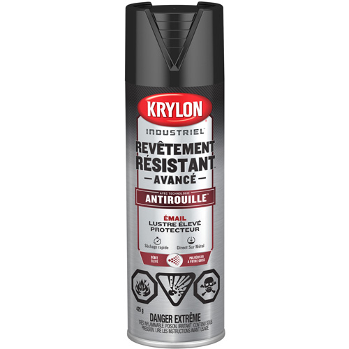 Peinture Tough Coat avec technologie Rust Barrier, Noir, Tr&egrave;s brillant, 425 g, Canette a&eacute;rosol Equipex