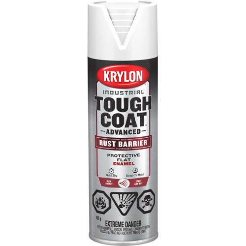 Tough Coat&reg; Advanced Paint with Rust Barrier Technology, White, Flat Finish, 425 g, Aerosol Can Equipex