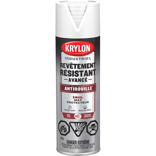Tough Coat&reg; Advanced Paint with Rust Barrier Technology, White, Flat Finish, 425 g, Aerosol Can Equipex