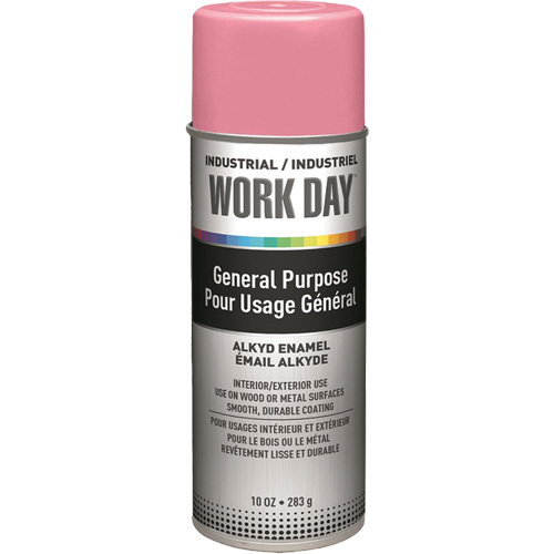 Peinture industrielle Work Day, Rose, Brillant, 10 oz, Canette a&eacute;rosol Equipex