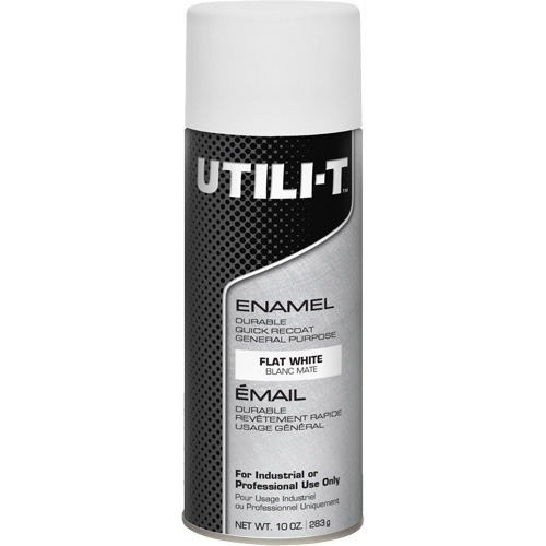Peinture-&eacute;mail en a&eacute;rosol polyvalent UTILI-T, Blanc, Plat, 10 oz/283 g, Canette a&eacute;rosol Equipex