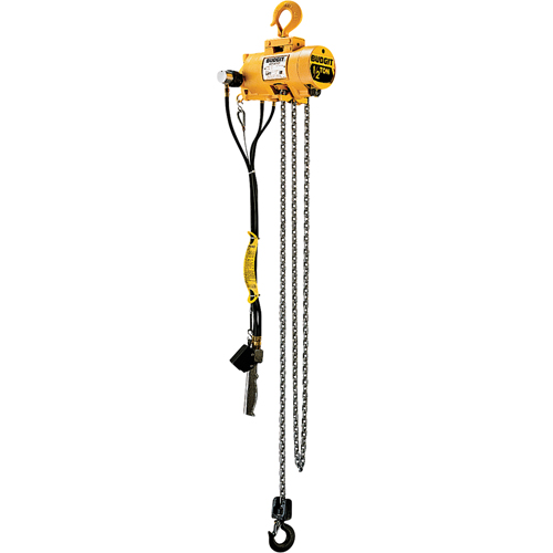 Budgit&reg; Air Chain Hoists Equipex
