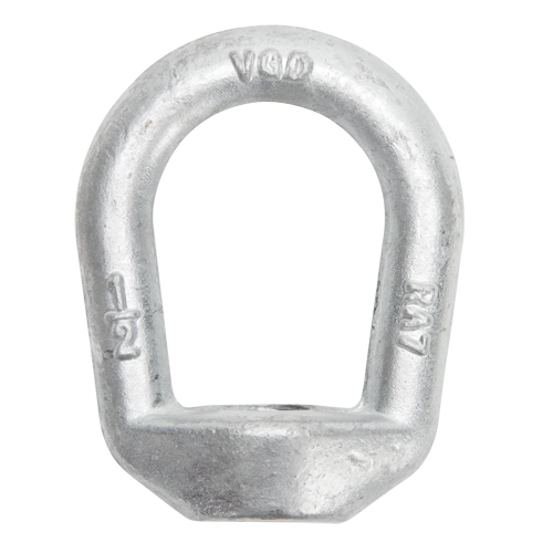 Eye Nut Equipex