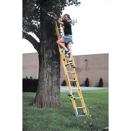 Industrial Heavy-Duty Extension Ladders (6200 Series), 375 lbs. Cap., 13' H, Grade 1AA Equipex