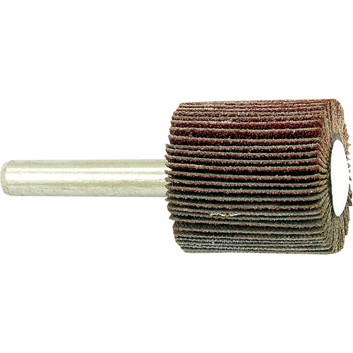 Shaft Mounted Flapwheel, 80 Grit, 1" x 1" x 1/4" Equipex