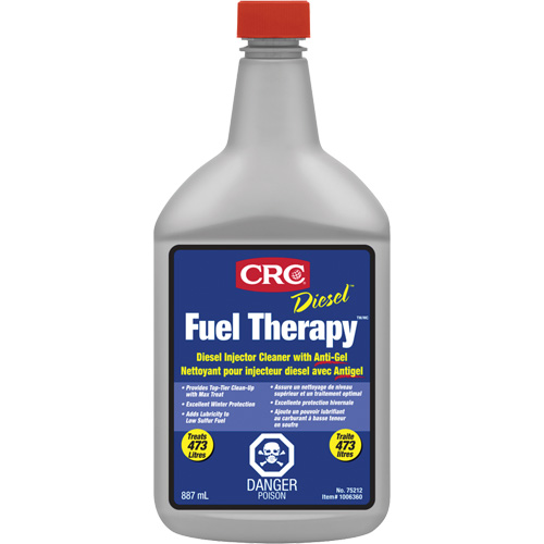 Diesel Fuel Therapy - Diesel Injector Cleaner with Anti-Gel Equipex