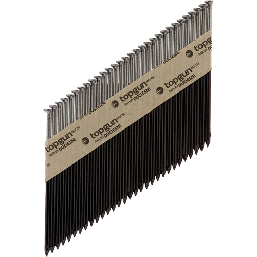 Clous en bandes Equipex