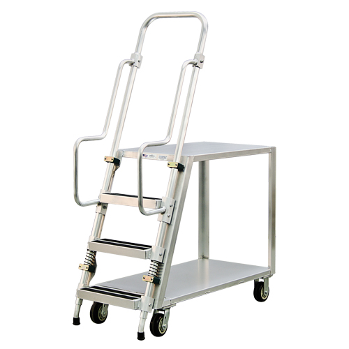 Chariot de pr&eacute;paration en aluminium avec &eacute;chelle, Aluminium, 22" la x 51-1/2" p, 2 tablettes, Capacit&eacute; 800 lb Equipex