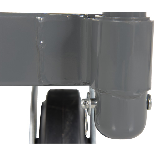 Platform Truck, 48" L x 24" W, 2000 lbs. Capacity, Rubber Casters Equipex