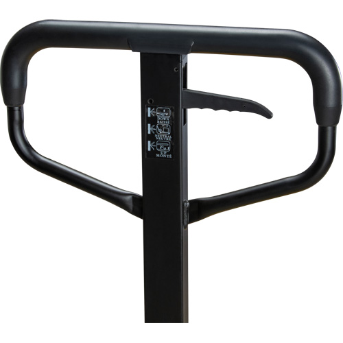 Transpalette &agrave; roues en acier, Acier, 48" lo x 27" la, Capacit&eacute; 5500 lb Equipex