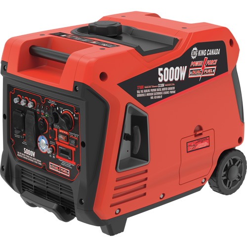 Dual Fuel Gasoline/Propane Inverter Generator Equipex