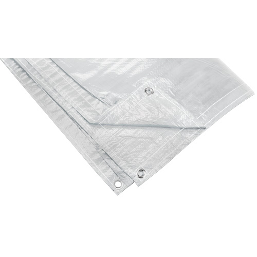 B&acirc;che isol&eacute;e, Poly&eacute;thyl&egrave;ne, Blanc, 20' x 12' x 8 mils Equipex