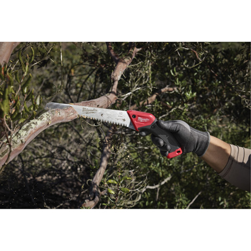 10” Fixed Pruning Saw with Straight Blade Equipex