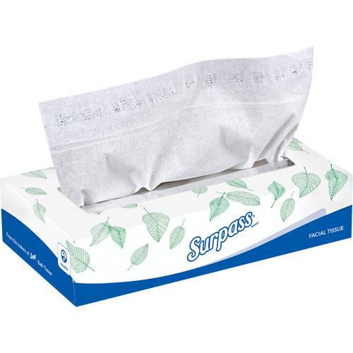 Mouchoirs Surpass, 2 pli, 8,3" lo x 7,8" la, 100 feuilles/boîte Equipex