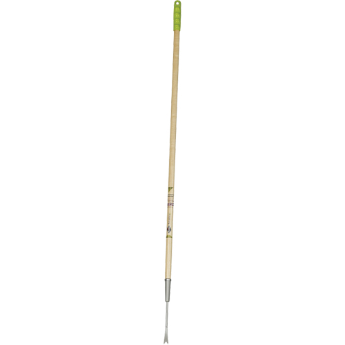 Dandelion Weeder Equipex