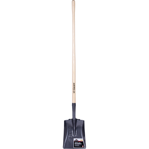 Pro Square Point Shovel, Wood, Tempered Steel Blade, Straight Handle, 48" Long Equipex