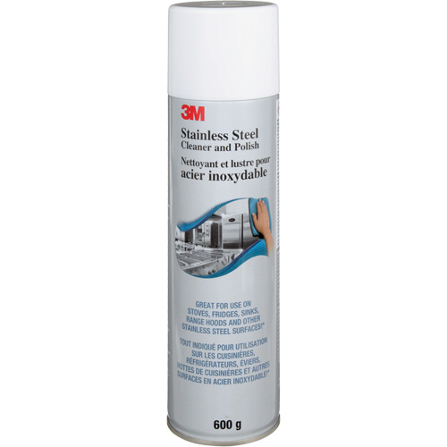 Stainless Steel Cleaner & Polish, 21.5 oz., Aerosol Can Equipex