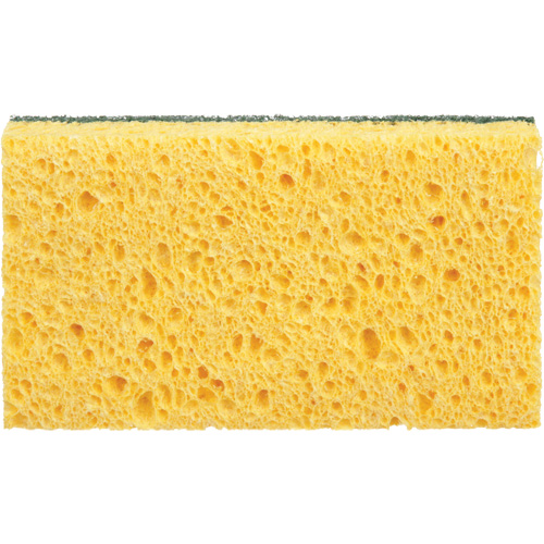 &eacute;ponges utilitaires, Cellulose, 6" la x 3-1/2" l Equipex