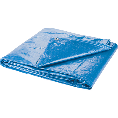 Tarp, Standard Duty, Blue, 7' x 5' x 4 mils Equipex