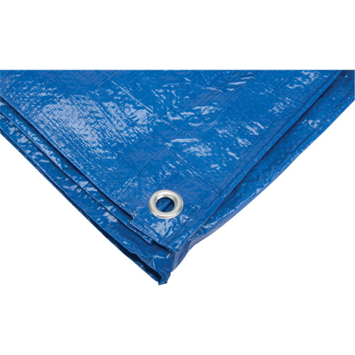 Tarp, Standard Duty, Blue, 7' x 5' x 4 mils Equipex