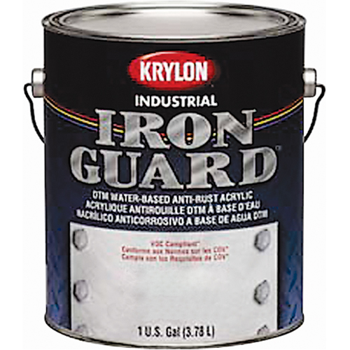 Industrial Iron Guard&reg; Water-Based Enamel, Can, Grey Equipex