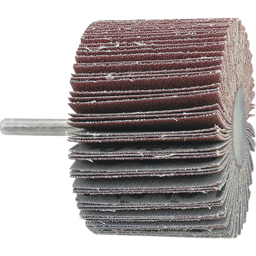 Disque &agrave; lamelles mont&eacute; sur mandrin, Grain A60, 2-1/2" x 1" x 1/4" Equipex