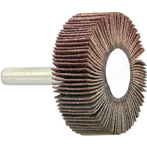Disque &agrave; lamelles mont&eacute; sur mandrin, Grain 80, 1-1/2" x 1/2" x 1/4" Equipex