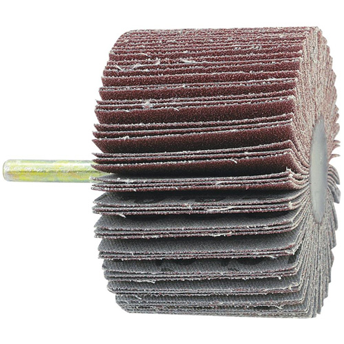 Disque &agrave; lamelles mont&eacute; sur mandrin, Grain 60, 1-1/2" x 1/4" Equipex