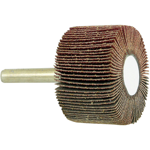 Disque &agrave; lamelles mont&eacute; sur mandrin, Grain 80, 1-1/2" x 1" x 1/4" Equipex