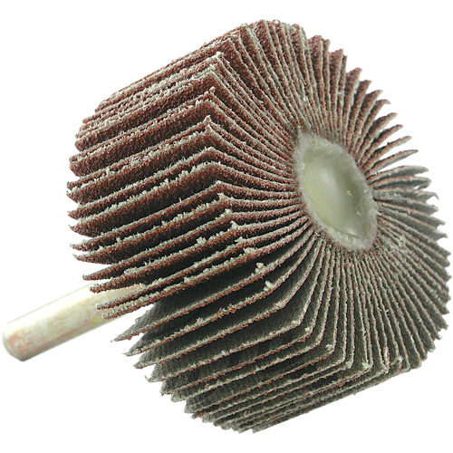 Disque &agrave; lamelles mont&eacute;, Grain 60, 2" x 1" x 1/4" Equipex