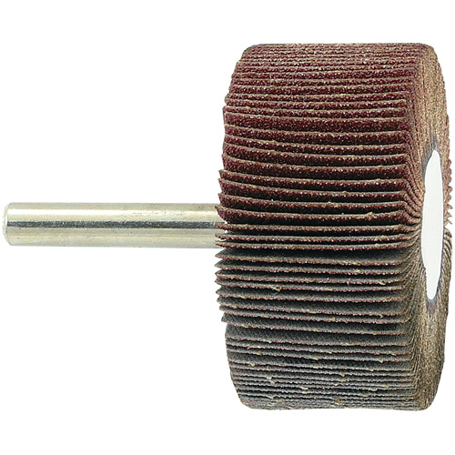 Disque &agrave; lamelles mont&eacute; sur mandrin, Grain 80, 2" x 1" x 1/4" Equipex