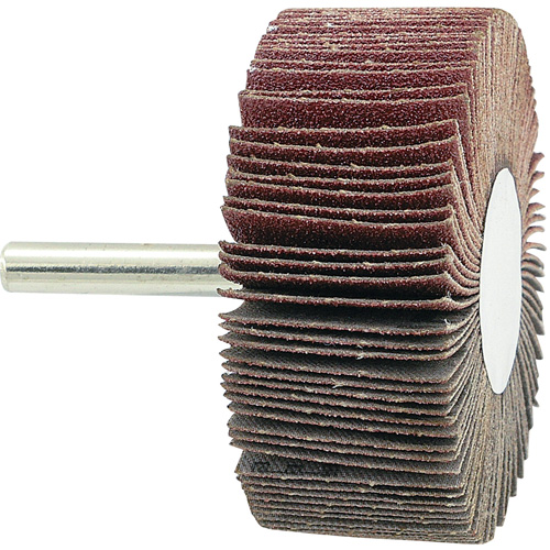 Disque &agrave; lamelles mont&eacute;, Grain 80, 2-1/2" x 1" x 1/4" Equipex