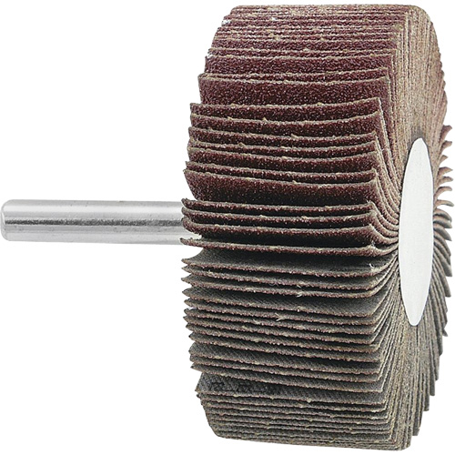 Disque &agrave; lamelles mont&eacute;, Grain 120, 2-1/2" x 1" x 1/4" Equipex