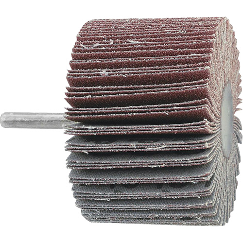 Disque &agrave; lamelles mont&eacute;, Grain 60, 3" x 1" x 1/4" Equipex