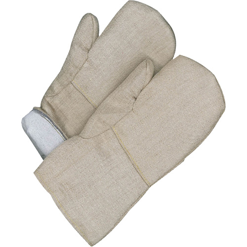 Gander Brand Mitt, Fibreglass, One Size, Protects Up To 608° F (320° C ) Equipex