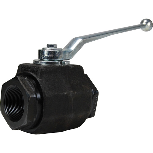 High Pressure Full-Bore Ball Valve, Steel, Manual, FNPT x FNPT Equipex