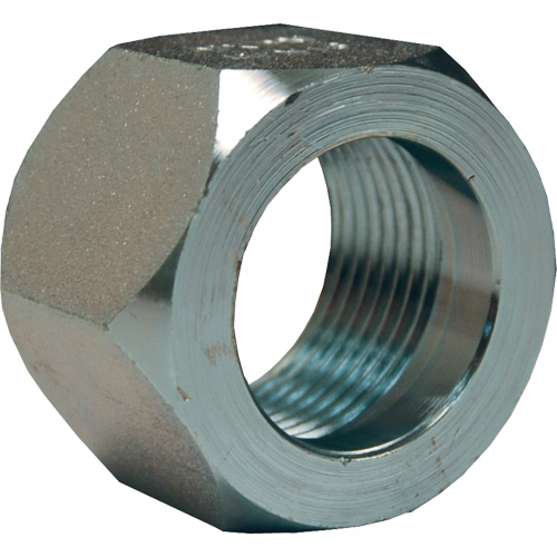 &eacute;crou hexagonal de minage Dixon, 1", Zingu&eacute;, Filetage NPT Equipex