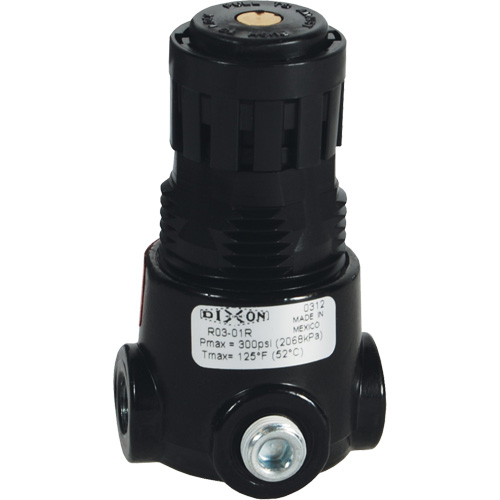 R&eacute;gulateur miniature R03 Wilkerson, 1/4" NPT, PSI max. de 300 psi, Standard Equipex
