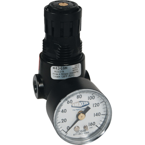 Wilkerson Miniature Regulator R04, 1/4" NPT, 300 psi Max. PSI, Standard Equipex