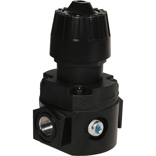 Wilkerson Compact Regulator R16, 1/4" NPT, 300 psi Max. PSI, Standard Equipex